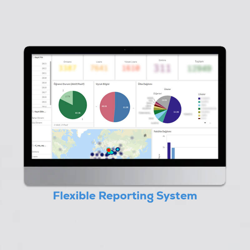 Flexible Reporting System